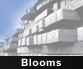 Blooms & Billets